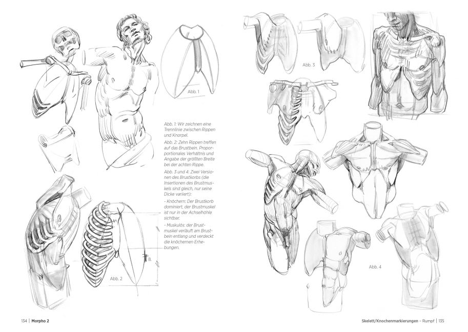 InsideView 4