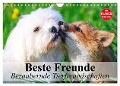 Beste Freunde. Bezaubernde Tierfreundschaften (Wandkalender 2024 DIN A4 quer), CALVENDO Monatskalender - Elisabeth Stanzer
