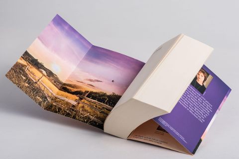 InsideView 6