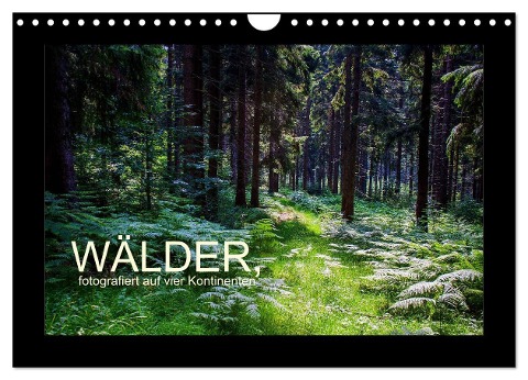 Wälder, fotografiert auf vier Kontinenten (Wandkalender 2024 DIN A4 quer), CALVENDO Monatskalender - Richard Walliser