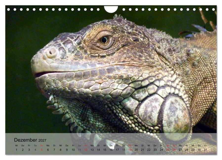 InsideView 4