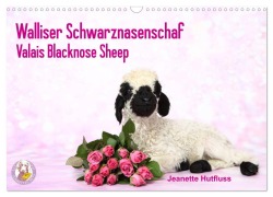 Walliser Schwarznasenschaf Valais Blacknose Sheep (Wandkalender 2025 DIN A3 quer), CALVENDO Monatskalender - Jeanette Hutfluss