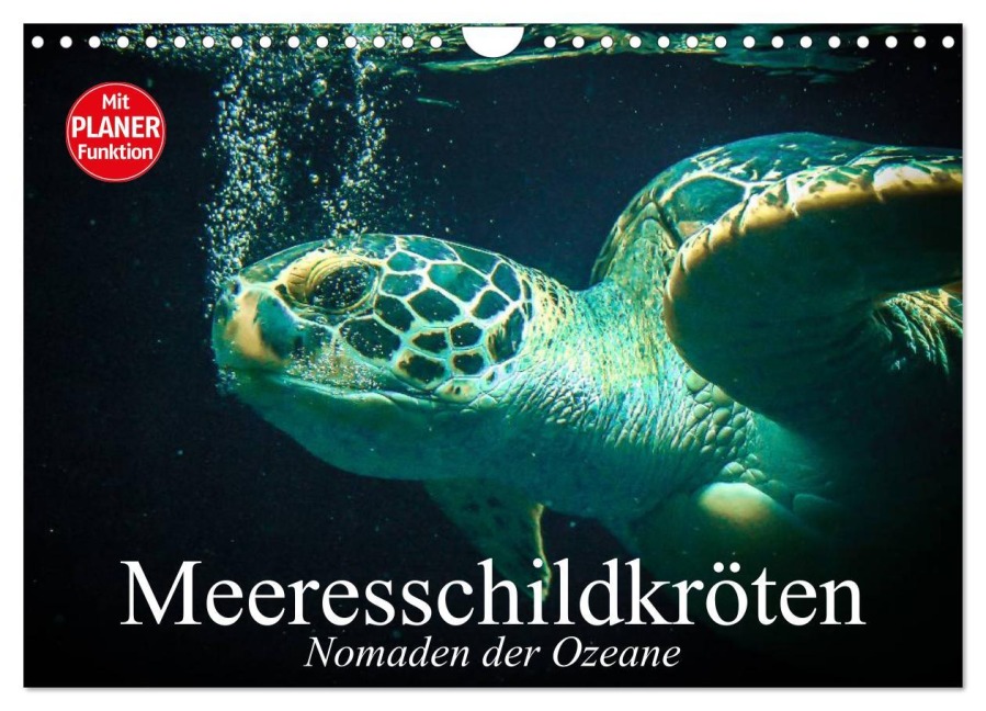 Meeresschildkröten. Nomaden der Ozeane (Wandkalender 2026 DIN A4 quer), CALVENDO Monatskalender - Elisabeth Stanzer