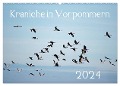Kraniche in Vorpommern (Wandkalender 2024 DIN A2 quer), CALVENDO Monatskalender - Siegfried Reinhold