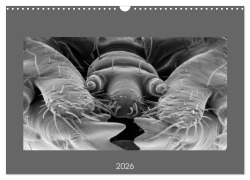 Cover-Bild zum Titel 'Erlebnis Mikrokosmos (Wandkalender 2026 DIN A3 quer), CALVENDO Monatskalender' von 'Steffen Schellhorn'