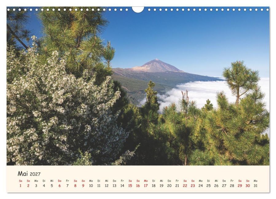 InsideView 10