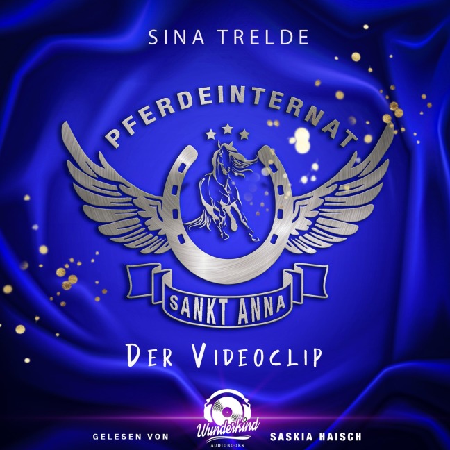Der Videoclip - Sina Trelde
