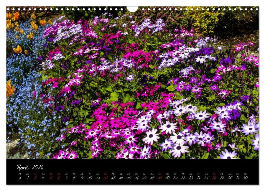 InsideView 9