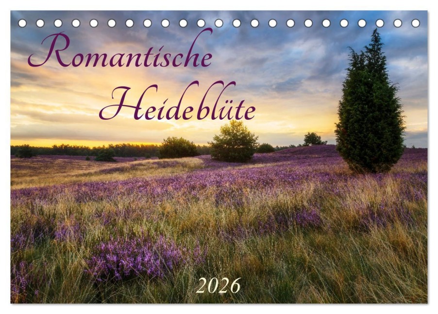Romantische Heideblüte (Tischkalender 2026 DIN A5 quer), CALVENDO Monatskalender - Daniela Beyer (Moqui)