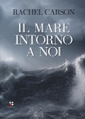 Cover-Bild zum Titel 'Il mare intorno a noi' von 'Rachel Carson'