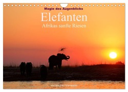 Cover-Bild zum Titel 'Magie des Augenblicks - Elefanten - Afrikas sanfte Riesen (Wandkalender 2026 DIN A4 quer), CALVENDO Monatskalender' von 'Winfried Wisniewski'