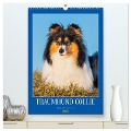Traumhund Collie - Liebe auf vier Pfoten (hochwertiger Premium Wandkalender 2025 DIN A2 hoch), Kunstdruck in Hochglanz - Sigrid Starick
