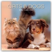 Cats and Dogs - Katzen und Hunde 2026 - 16-Monatskalender - Gifted Stationery Co. Ltd