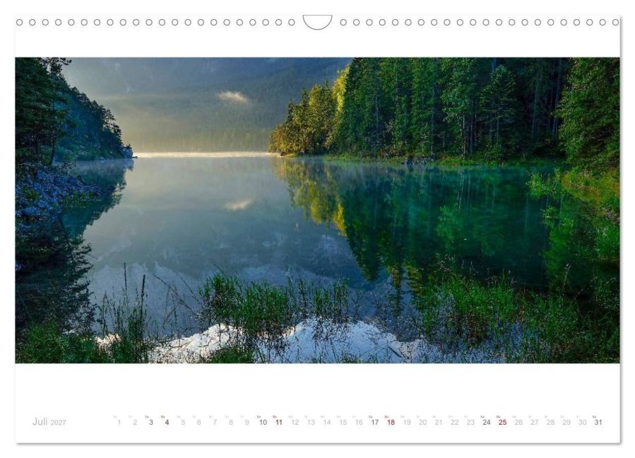 InsideView 12