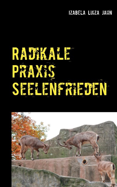Radikale Praxis Seelenfrieden - Izabela Luiza Jahn