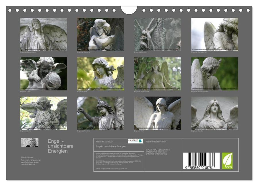 InsideView 5