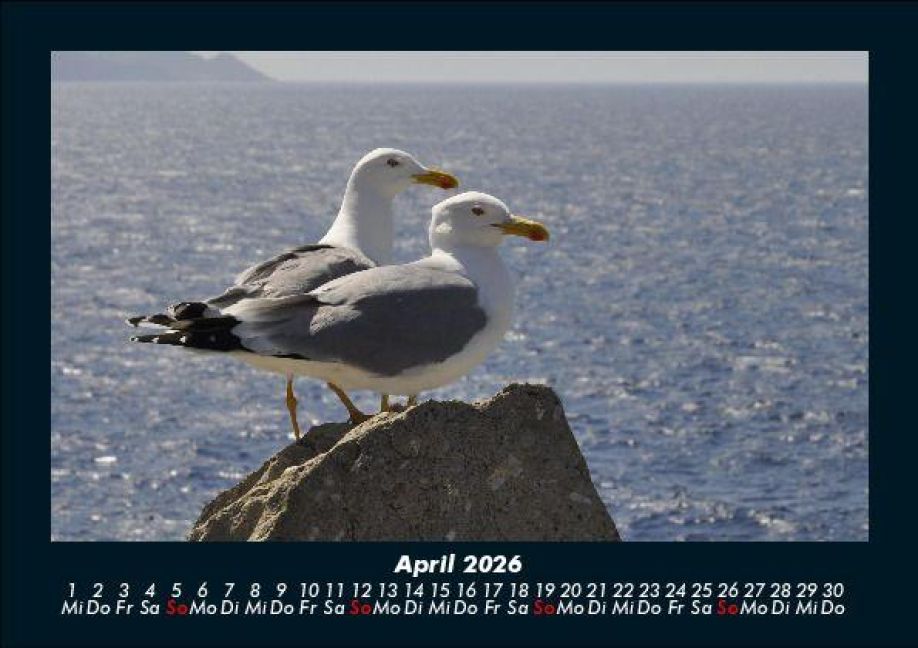InsideView 8