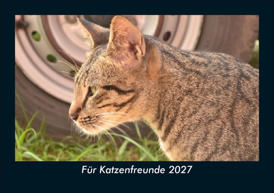 Für Katzenfreunde 2027 Fotokalender DIN A5 - Tobias Schmitt, Kevin Heber