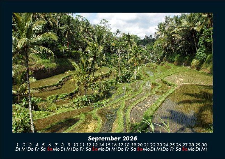InsideView 1