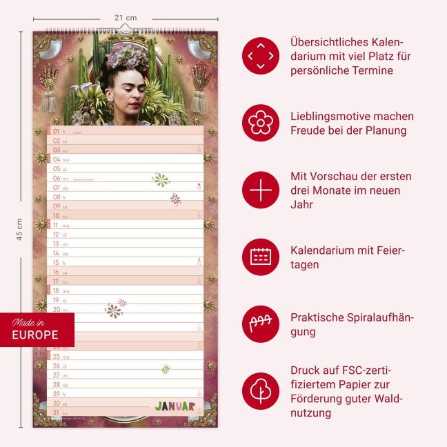 InsideView 13