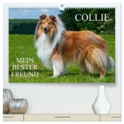 Cover-Bild zum Titel 'Collie - Mein bester Freund (hochwertiger Premium Wandkalender 2026 DIN A2 quer), Kunstdruck in Hochglanz' von 'Sigrid Starick'
