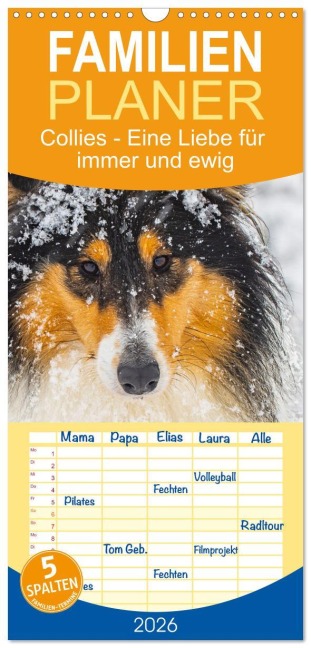 Familienplaner 2026 - Collies - Eine Liebe für immer und ewig mit 5 Spalten (Wandkalender, 21 x 45 cm) CALVENDO - Sigrid Starick