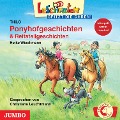 Cover-Bild zum Titel 'Ponyhofgeschichten & Reitstallgeschichten' von 'Heike Wiechmann'