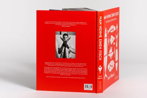 InsideView 5
