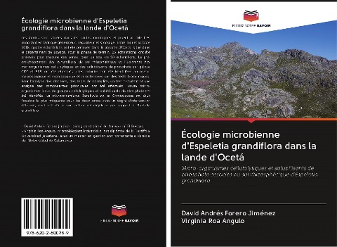 Écologie microbienne d'Espeletia grandiflora dans la lande d'Ocetá - David Andrés Forero Jiménez, Virginia Roa Angulo