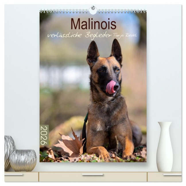 Malinois verlässliche Begleiter (hochwertiger Premium Wandkalender 2026 DIN A2 hoch), Kunstdruck in Hochglanz - Tanja Riedel