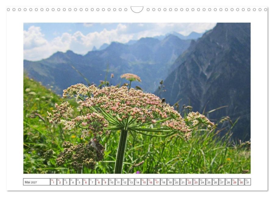 InsideView 10