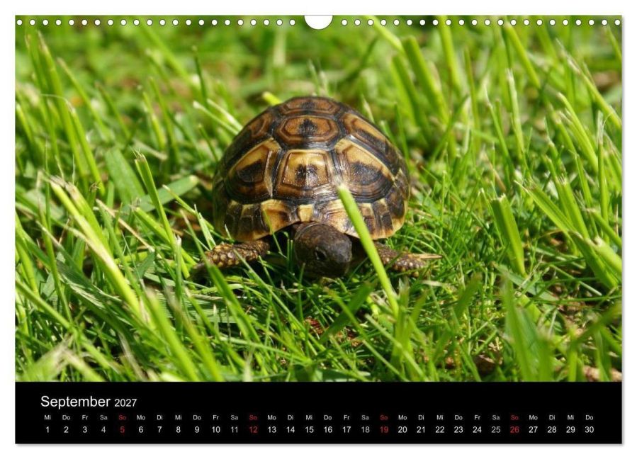 InsideView 14