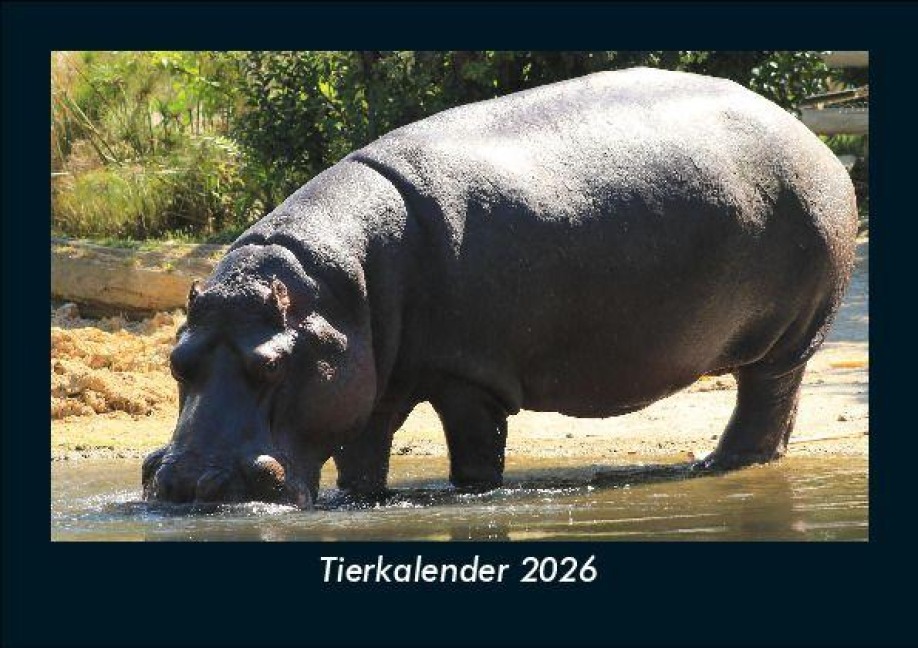 Tierkalender 2026 Fotokalender DIN A5 - Tobias Becker