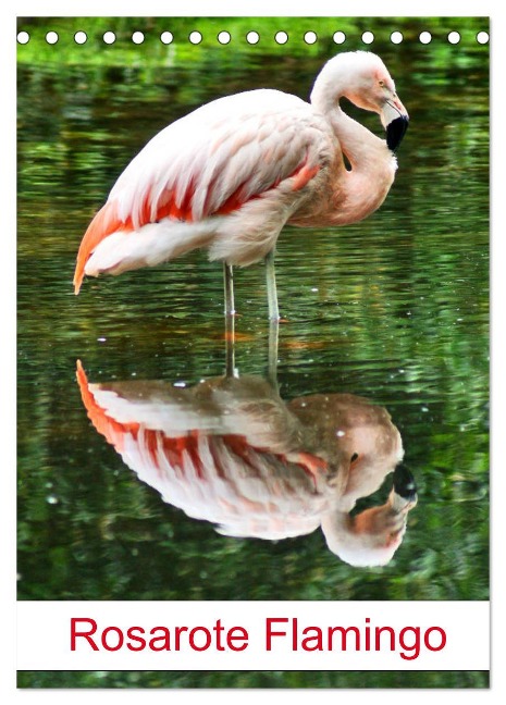 Rosarote Flamingo (Tischkalender 2025 DIN A5 hoch), CALVENDO Monatskalender - Kattobello Kattobello