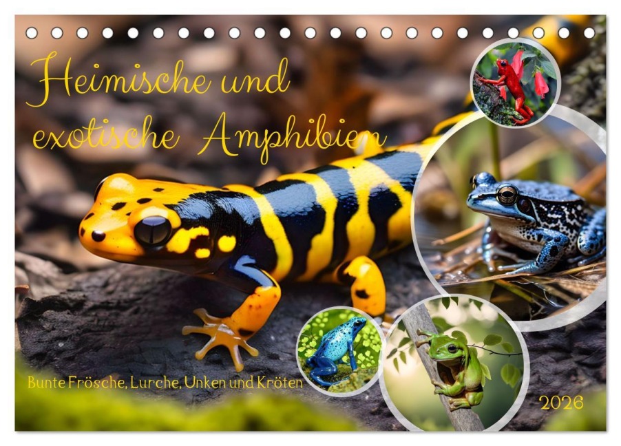 Heimische und exotische Amphibien (Tischkalender 2026 DIN A5 quer), CALVENDO Monatskalender - Claudia Kleemann