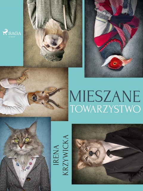 Mieszane towarzystwo - Irena Krzywicka