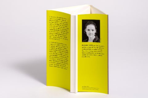 InsideView 2