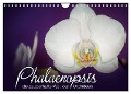 Phalaenopsis - die zauberhafte Welt der Orchideen (Wandkalender 2024 DIN A4 quer), CALVENDO Monatskalender - Deborah Strehl