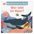 Mein Pop-up-Buch zum Staunen. Wer lebt im Meer? - Sandra Grimm