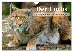 Der Luchs. Pinselohren und Bernsteinaugen (Wandkalender 2025 DIN A4 quer), CALVENDO Monatskalender - Elisabeth Stanzer
