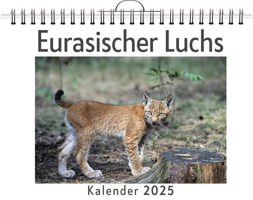 Eurasischer Luchs - Lucas Lang