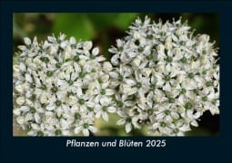 Pflanzen und Blüten 2025 Fotokalender DIN A5 - Tobias Becker