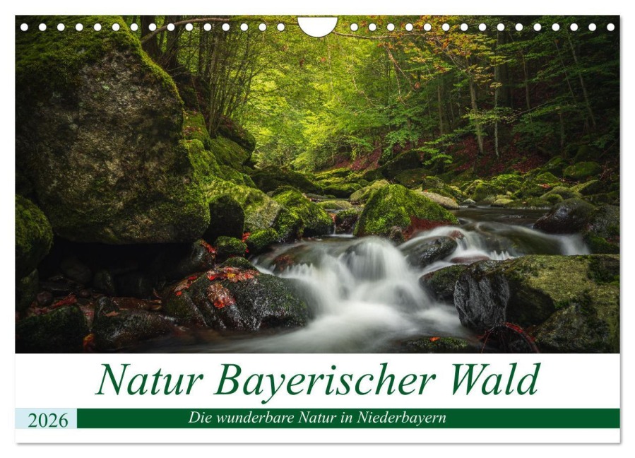 Natur Bayerischer Wald (Wandkalender 2026 DIN A4 quer), CALVENDO Monatskalender - Fotografie Thilo Wagner
