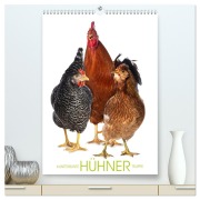 Cover-Bild zum Titel 'Kunterbunte Hühner Truppe (hochwertiger Premium Wandkalender 2026 DIN A2 hoch), Kunstdruck in Hochglanz' von 'Judith Kiener - DoraZett'