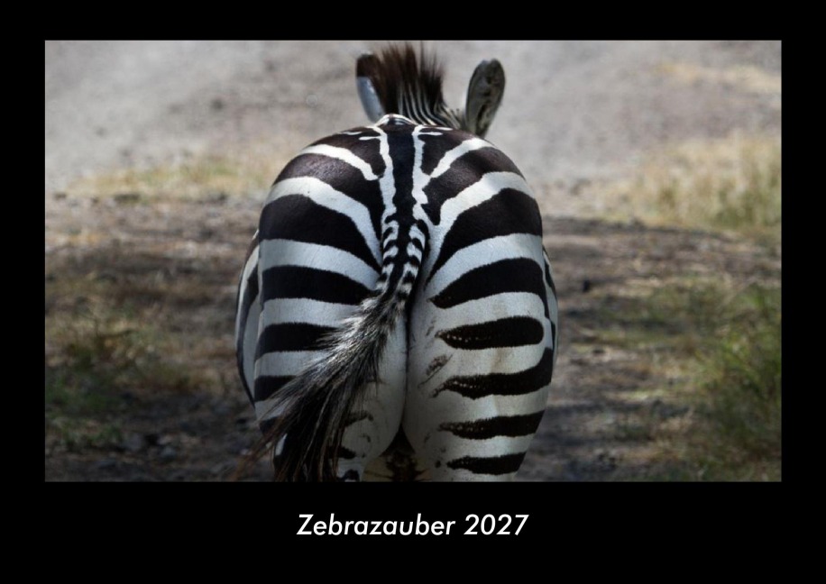 Zebrazauber 2027 Fotokalender DIN A3 - Tobias Becker
