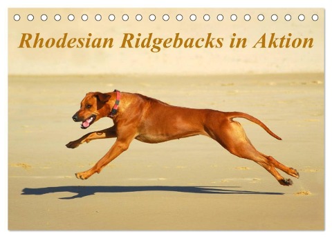 Rhodesian Ridgebacks in Aktion (Tischkalender 2025 DIN A5 quer), CALVENDO Monatskalender - Anke van Wyk - www. germanpix. net