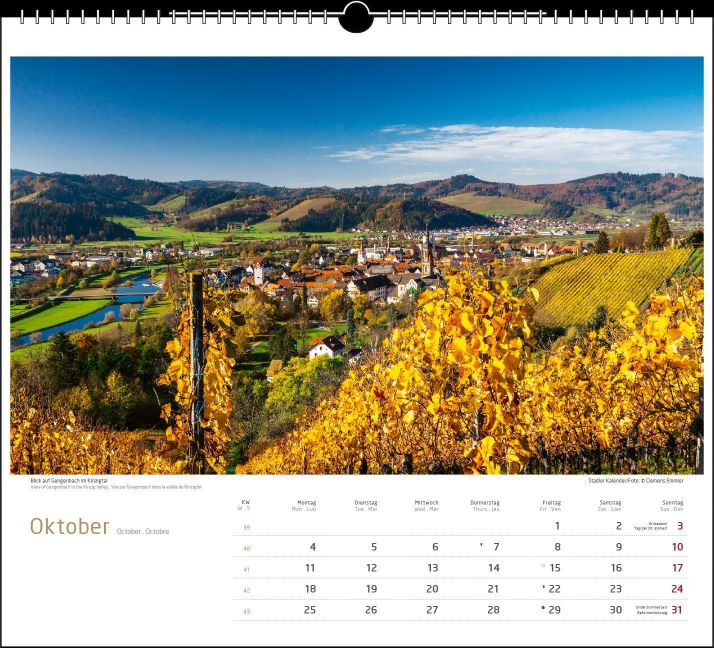 InsideView 10