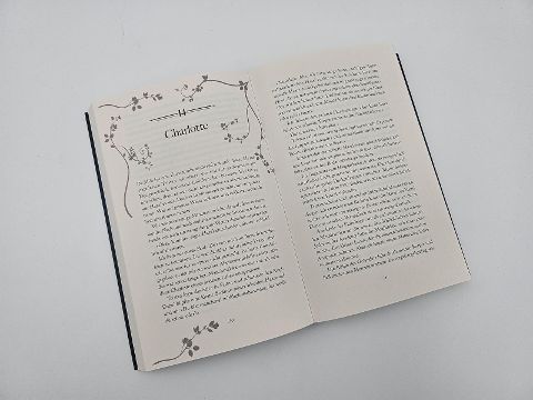 InsideView 6