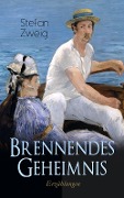 Cover-Bild zum Titel 'Brennendes Geheimnis. Erzählungen' von 'Stefan Zweig'