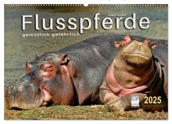 Flusspferde - gemütlich gefährlich (Wandkalender 2025 DIN A2 quer), CALVENDO Monatskalender - Peter Roder